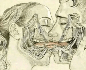 WHAT HAPPENS WHEN WE TONGUE KISS…See more