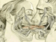 WHAT HAPPENS WHEN WE TONGUE KISS…See more