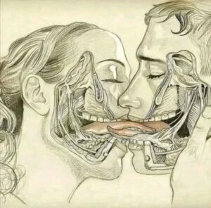 WHAT HAPPENS WHEN WE TONGUE KISS…See more WHAT HAPPENS WHEN WE TONGUE KISS…See more