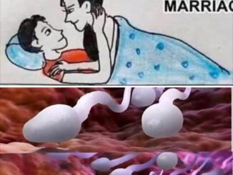Studies reveal that swallowing your partner’s semen…. Read More