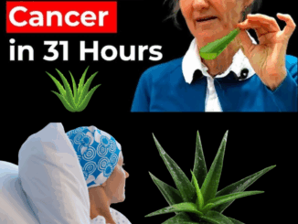 A Natural Path to Healing: Barbara O’Neill’s Holistic Approach to Cancer Support