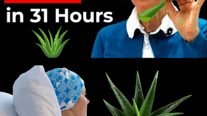 A Natural Path to Healing: Barbara O’Neill’s Holistic Approach to Cancer Support