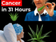 A Natural Path to Healing: Barbara O’Neill’s Holistic Approach to Cancer Support