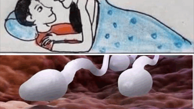 Many know! Studies reveal that swallowing your partner’s semen… See more Many know! Studies reveal that swallowing your partner’s semen… See more