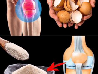 Don’t Ever Throw Away Eggshells Again After Reading This – You Won’t Believe How Useful They Are!