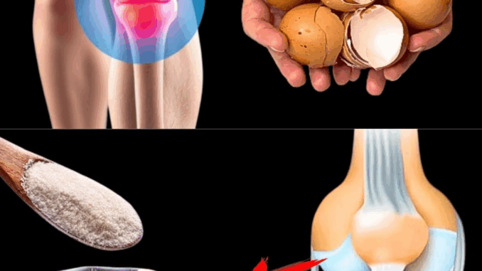 Don’t Ever Throw Away Eggshells Again After Reading This – You Won’t Believe How Useful They Are! Don’t Ever Throw Away Eggshells Again After Reading This – You Won’t Believe How Useful They Are!