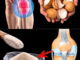 Don’t Ever Throw Away Eggshells Again After Reading This – You Won’t Believe How Useful They Are!
