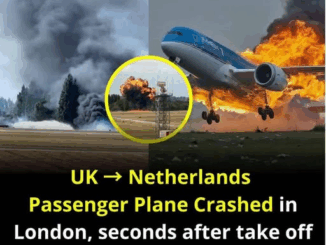 Airport remains shut down following fireball plane crash!