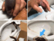 In several regions, people were attacked while using their bathrooms.