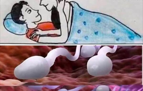 Studies reveal that swallowing your partner’s semen…. Read More Studies reveal that swallowing your partner’s semen…. Read More