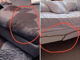A Woman’s Large Breasts Indicate That Her Vagin…See more