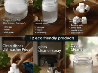 12 NATURAL HOMEMADE CLEANERS that will clean, sanitize and disinfect everything in our homes