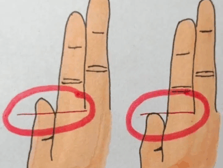 Your Fingers Could Reveal Whether You’re Rich or Poor