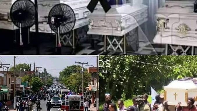 Father kills family just because they did it… See more
