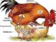 The incredible process of egg formation ….see more