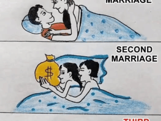 What Does The Image Reflect?