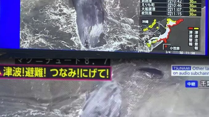 Ballenas llegan a la costa de Japón después de que un enorme terremoto de magnitud 8,7 desencadenara un tsunami